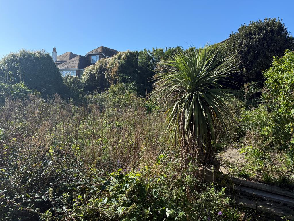 Lot: 180 - DETACHED MIXED USE PROPERTY AND LAND WITH POTENTIAL (STNC) - View of overgrown rear garden